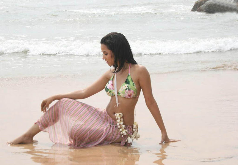 South Indian Actress Nisha Kothari Hot Nisha Kothari Wallpapers Photo Pictures sexy stills