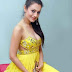 Amisha Patel Bollywood Celebrities, Free Actress Amisha Patel Photo & Pictures