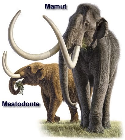 mastodonte mamut
