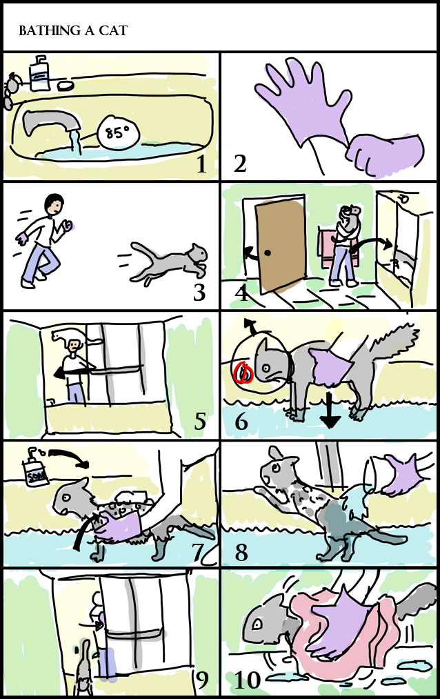 Graphic Storytelling Steps for bathing a cat