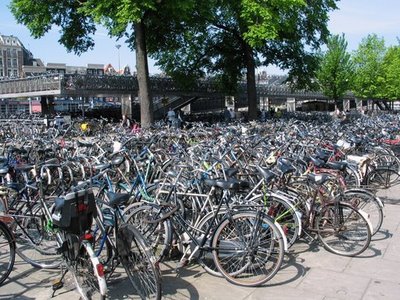 Bikes In Netherlands