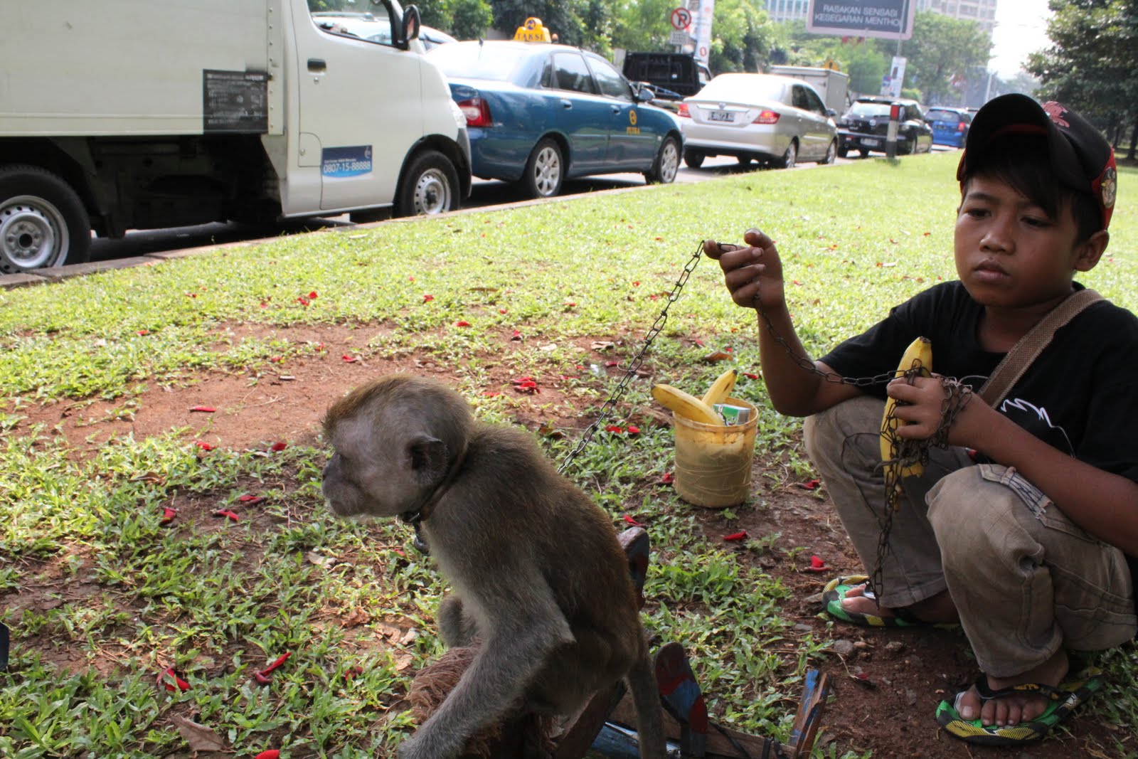 TheCinnamonJourney: October 2010