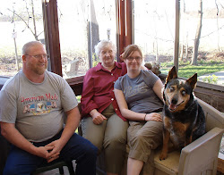 Wiggles Blue Heeler Loves His Friends!