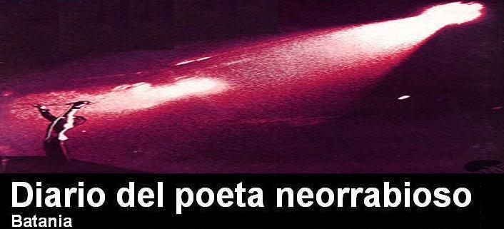 Diario del poeta neorrabioso