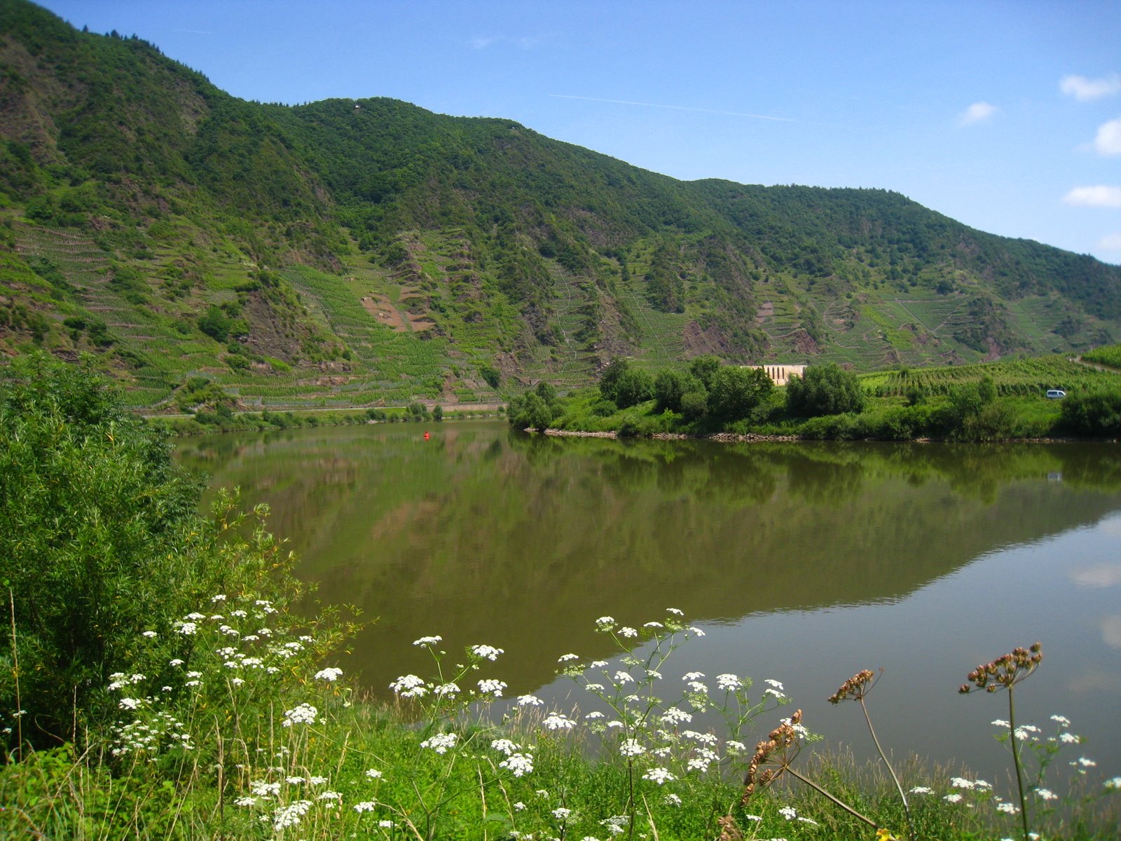 [IMG_3966.JPG]