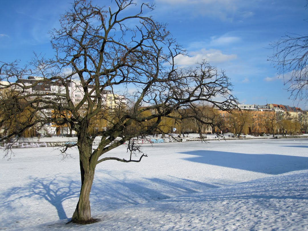 [Germany+0210+08_landwehrkanal_ice_tree.JPG]