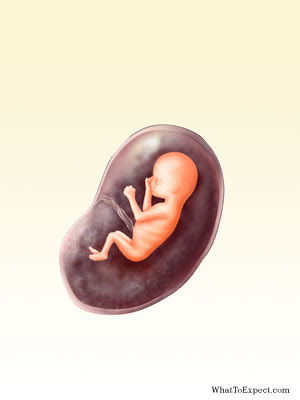 Right now I am onto my 13 week