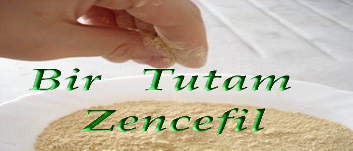 Bir   Tutam   Zencefil