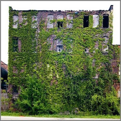[Nature+takes+over+via+theenglishmuse.blogspot.com2.jpg]