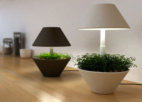 [urbangreens.tumblr.com.jpg]