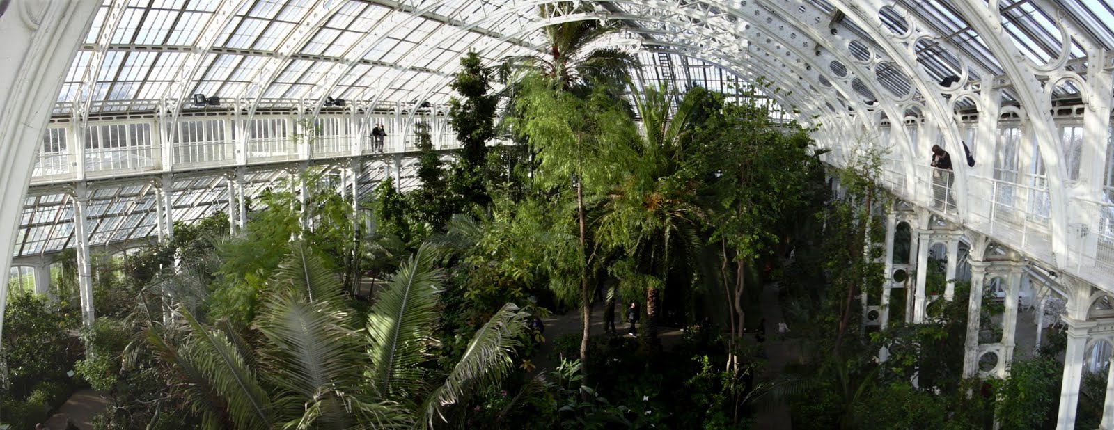 [Kew_gardens_greenhouse.JPG]