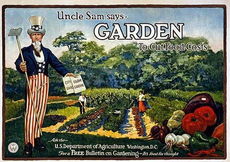 [kitchen-garden.jpg]