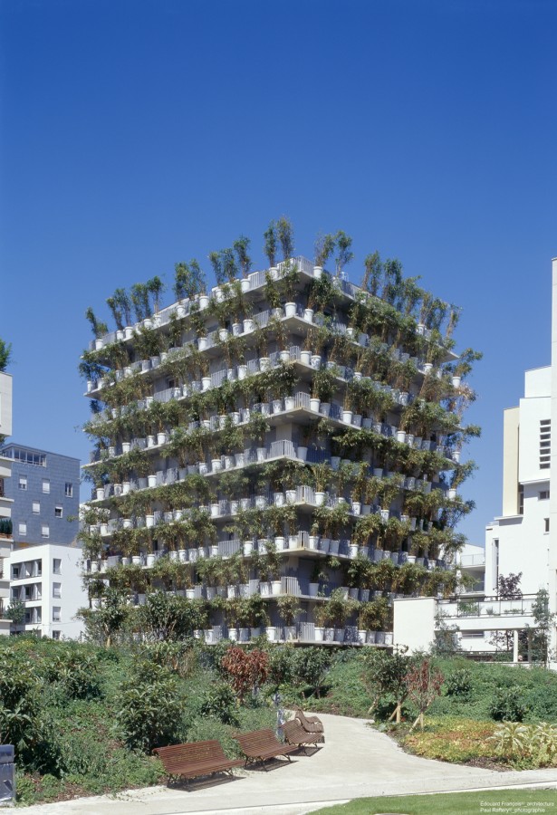 [Tower+Flower.jpeg]