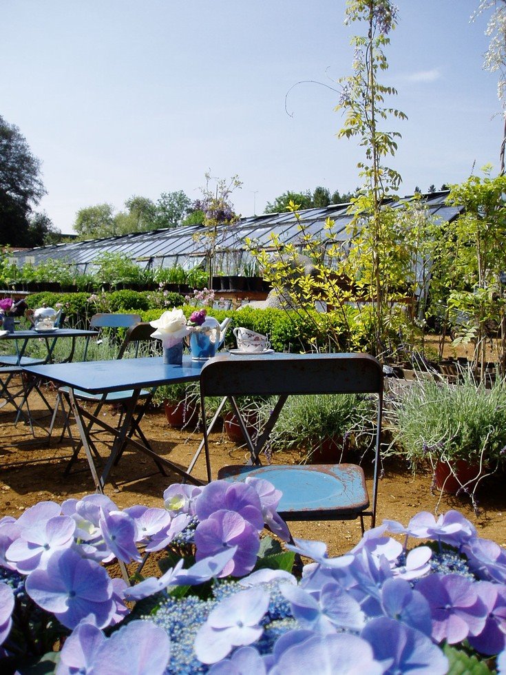 [petershamnurseries18.jpg]