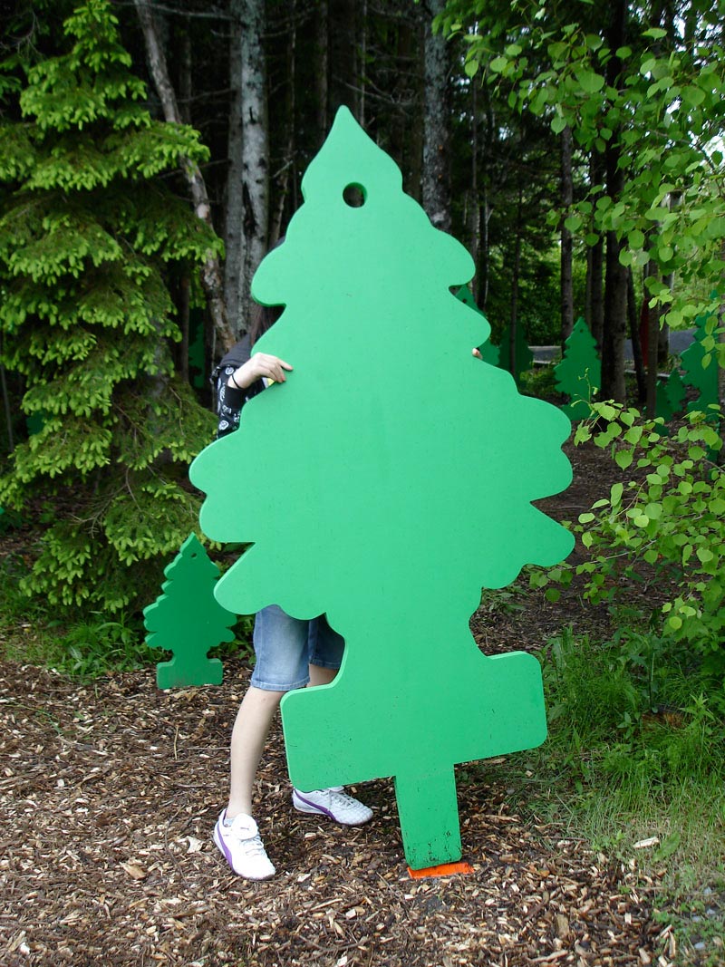 [www.ritaritarita.ca+passe-moi+un+sapin+rita2.jpg]