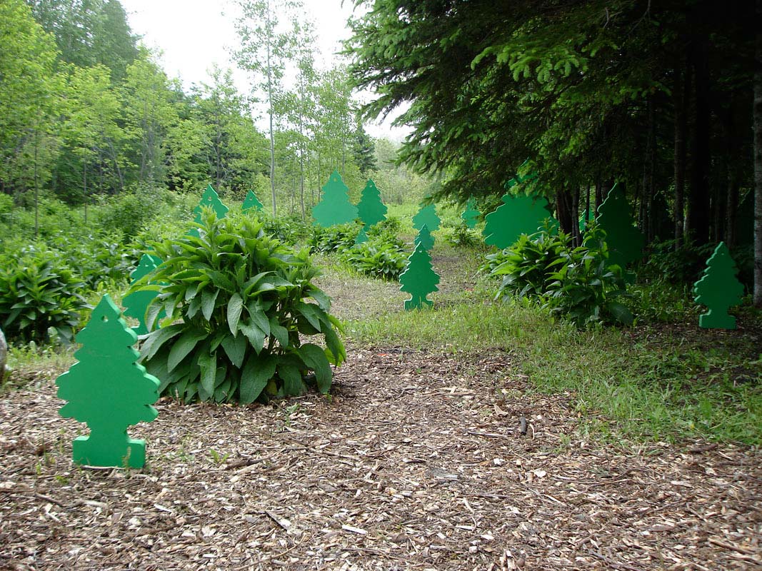 [www.ritaritarita.ca+passe-moi+un+sapin+rita3.jpg]