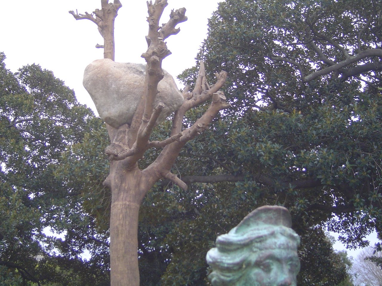 [DSC03163.JPG]