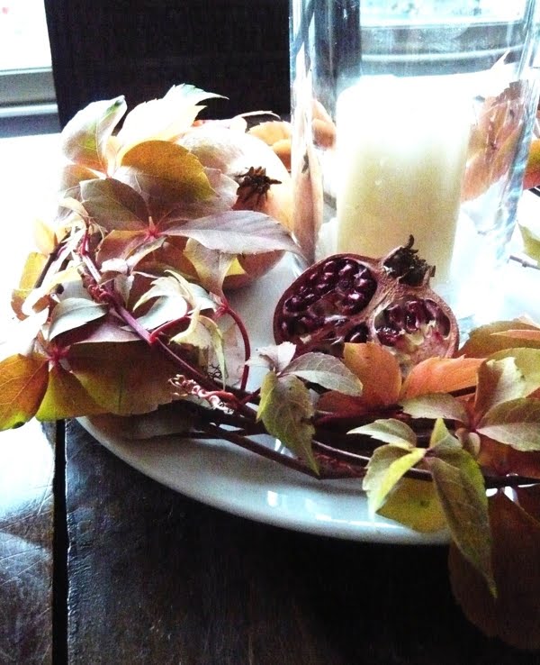 [Parthenocissus+quinquefolia+.jpg]