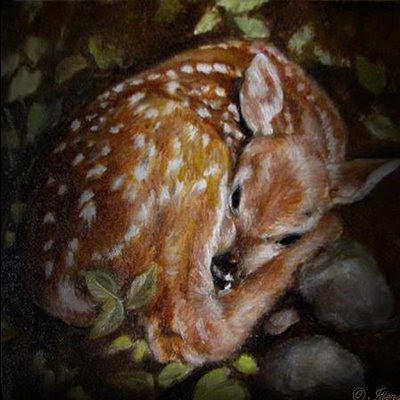 rencontres seniors catholiques