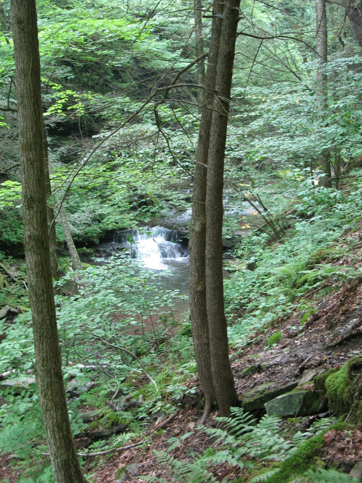 [IMG_0814.JPG]