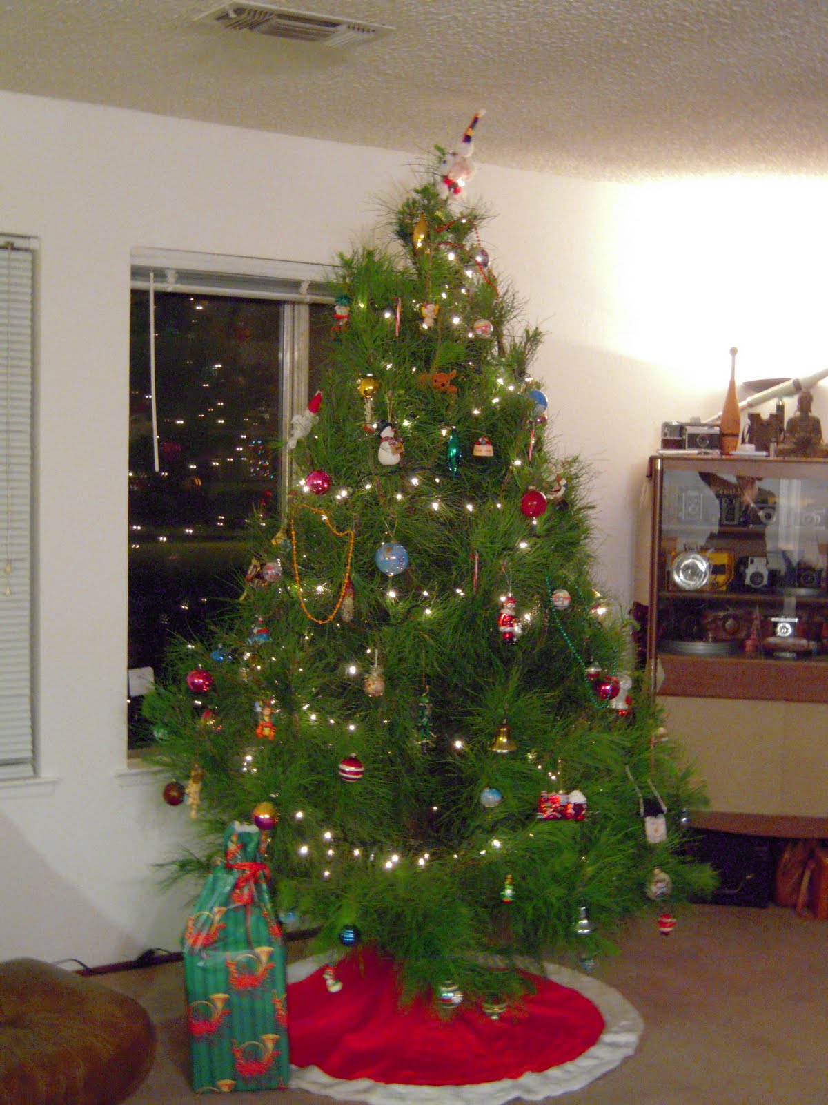[tree+04+crop.jpg]