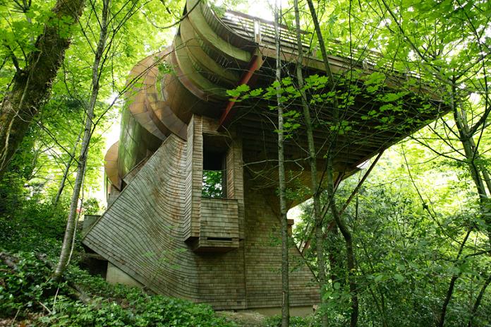 CoolPictureGallery: Amazing Tree Home in USA