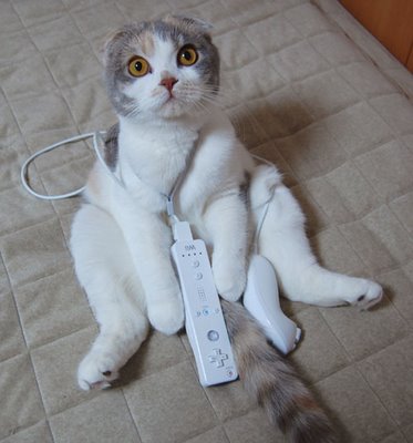 World's Most Funniest Animals Photos (10) World's Most Funniest Animals Photos (10)