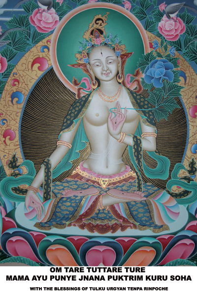 [White_Tara_Card.jpg]