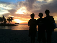 The sun sets on our trip - time to go home!