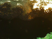 samal bat cave