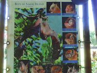 samal bat cave