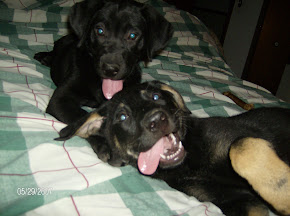 The Girls