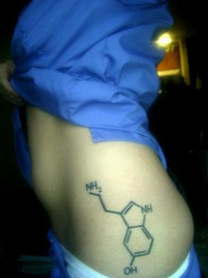 ciencia ciencia