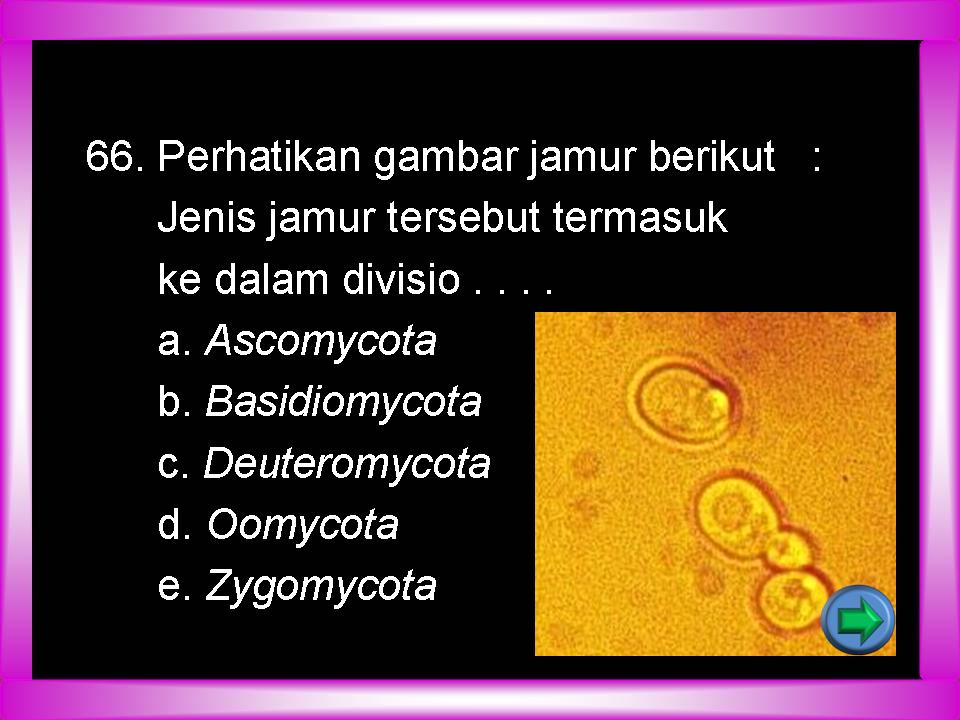 [Slide7.JPG]