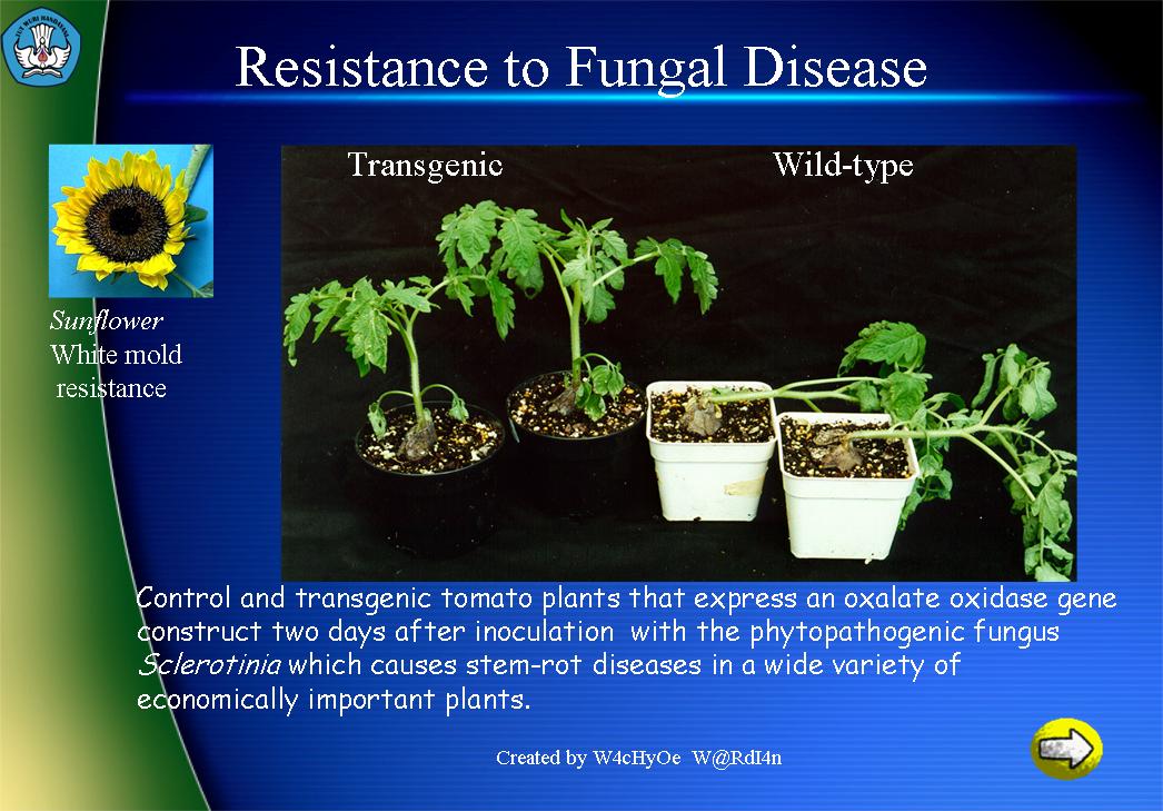 [Slide31.JPG]
