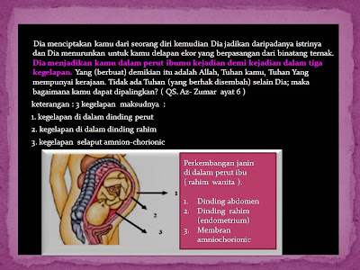 Embriologi Menurut Al-Quran