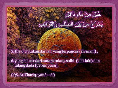 Embriologi Menurut Al-Quran