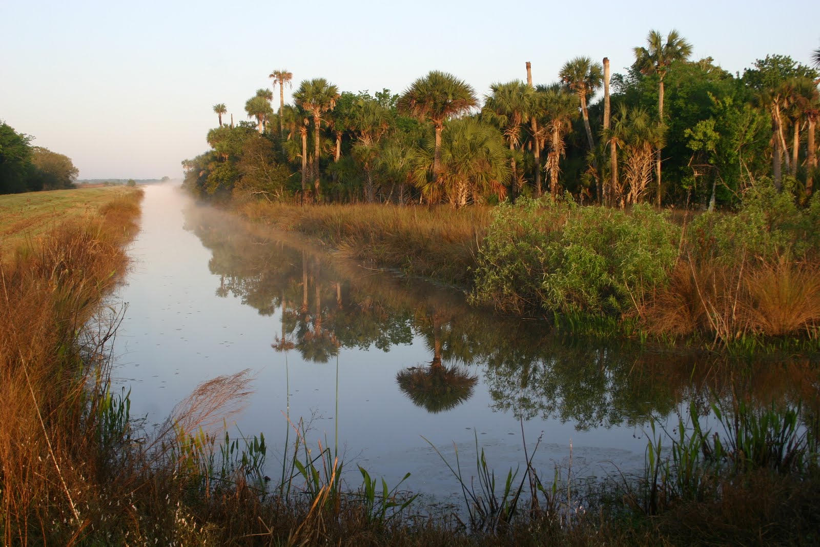 Gary's travels (DoubleEspresso) Lake Woodruff NWR early morning
