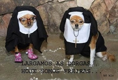Imagens engraçadas Dorgas+convento