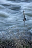 [StephanieHaven_Water_IMG_2262.JPG]