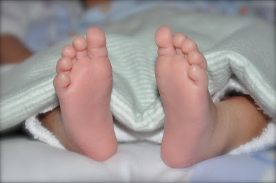 oVeRhAuLeD : aIrsOft - dIvInG - mUsIc - pHoTogRapHy