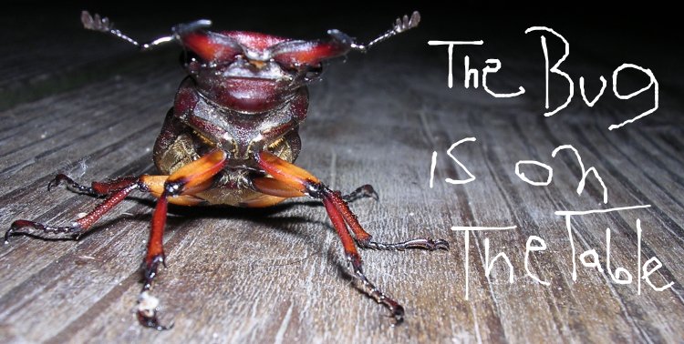 The Bug Is On The Table