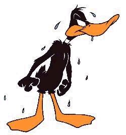 daffy_duck.jpg