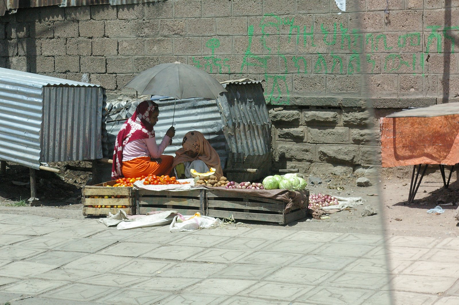 [IMGP8216.JPG]