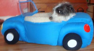 [mortie+in+car]