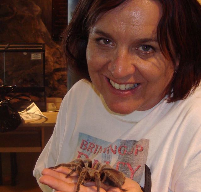 [tarantula]