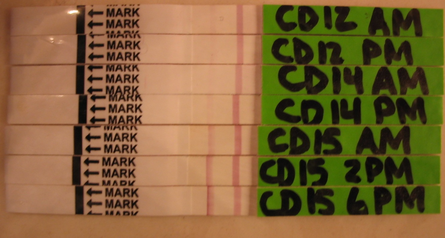 Positive Opk