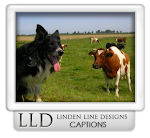Win a FREE Collar - Enter the LLD Monthly Caption Contest