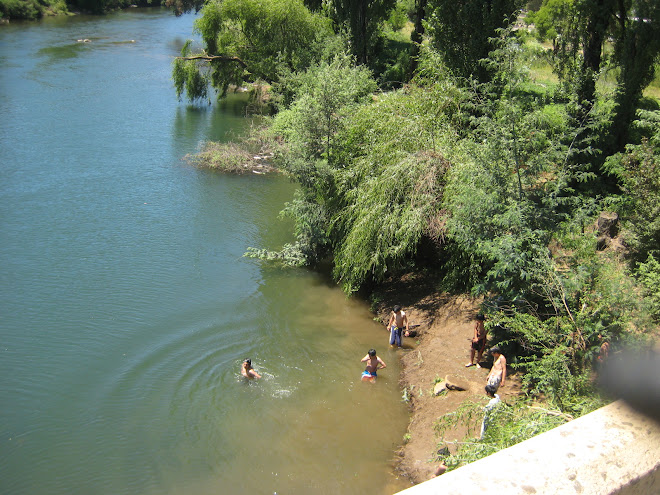 Locals Swimming at Mulchén