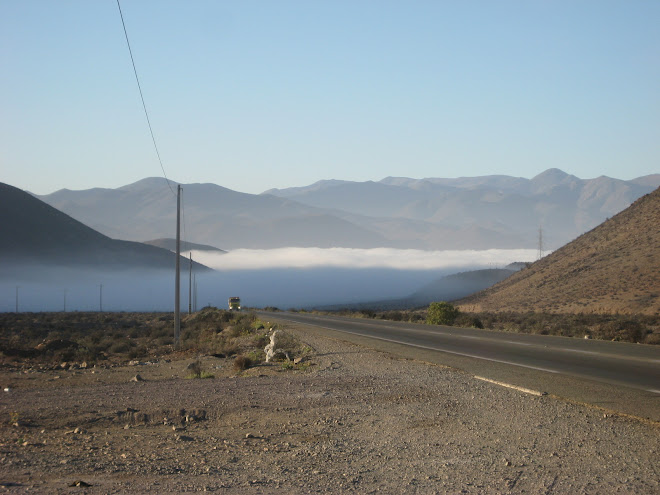 Fog Bank in the Valley